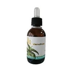 KALANCHOE,50ML